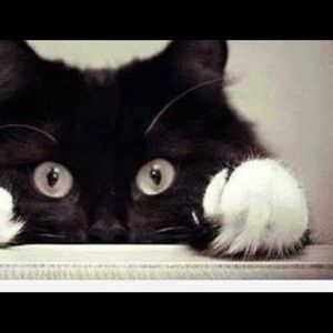 Meet your Posher, June